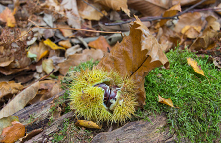 报复骗子轰炸神器