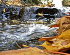 自动充值稳定的防封号外呼软件